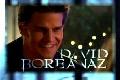 David Boreanaz